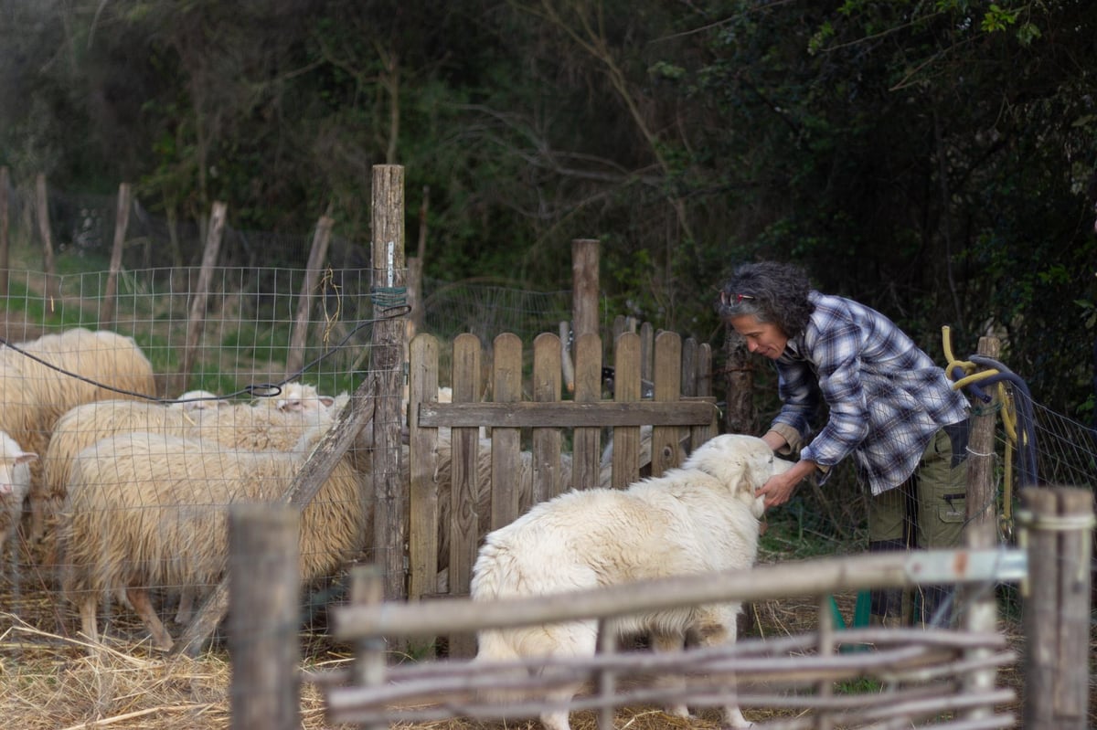 Ferme de Torre alle Tolfe